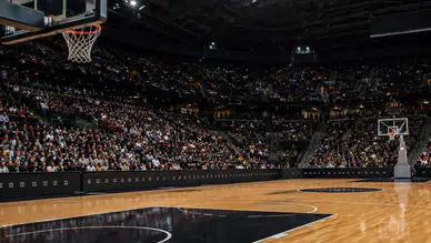 Basketbolda Yeni Dönem Başlıyor! 1 Ekim'den İtibaren Kurallar Değişiyor