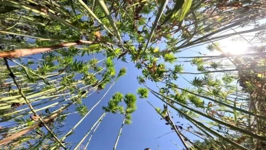 Liste'de Amasya ve Çorum'da Var!