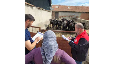 Amasya’da Hayvancılıkta Saha Çalışması!