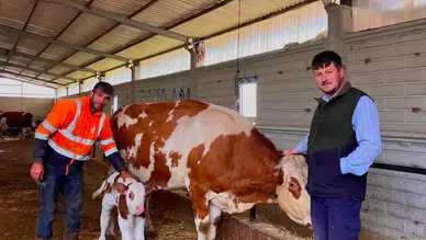 Amasya’da Suni Tohumlama Çalışmaları Meyvesini Verdi