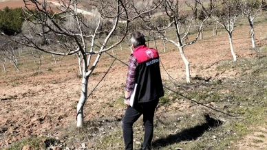 Merzifon’da Bahçeler Mercek Altında