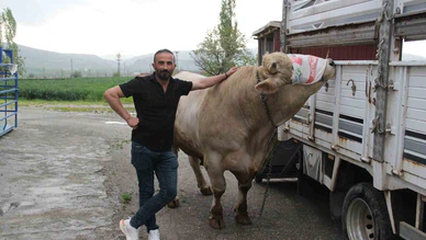 Dev Tosun İçin Rekor Fiyat İstendi