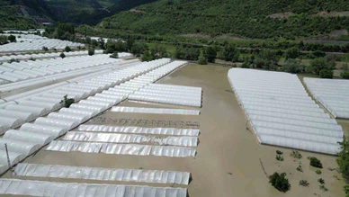 Amasya’da Taşkın Felaketi! Binlerce Dekar Tarım Arazisi Sular Altında Kaldı