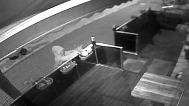 Çiçek Hırsızlığı Kamerada: “Umutla Büyümesini Bekliyordum”