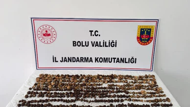 Yabani Salep Toplayanlara Rekor Ceza