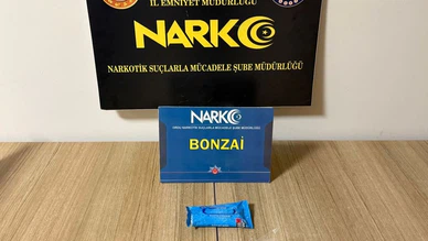 Narkotik Operasyonu: 2 Şüpheli Tutuklandı