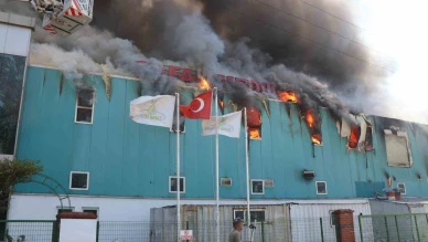 Medikal fabrikasında yangın çıktı
