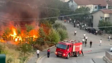 Arı kovanları küle döndü