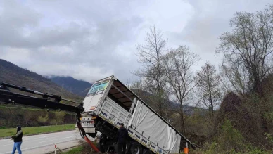 Tır devrildi: 3 kişi yaralandı, 6 hayvan telef oldu