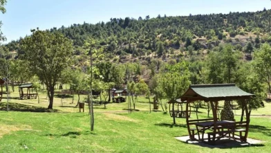 Gürsu Bayraktepe Konaklamasız Orman Parkı İşletmeciliği İhale İlanı