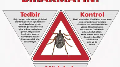 Amasya İl Sağlık Müdürlüğü’nden Hayati Kene Uyarısı