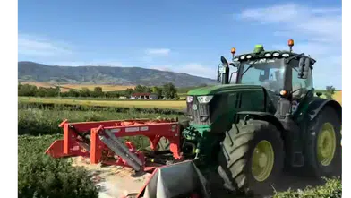 Amasya DSYB'de İkinci Yonca Hasadı Başladı!