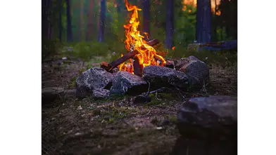 Yeşil Vatanı Hep Birlikte Koruyalım