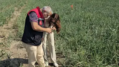 Merzifon’da Soğan Tarlaları Mercek Altında!