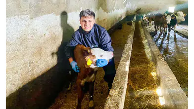 Amasya DSYB’den Küpeleme Çalışması