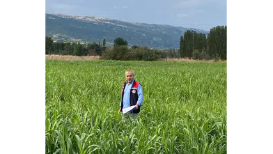 Amasya’da 460 Dekarlık Alanda Hasat Başladı