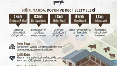 Merzifon’da Hayvancılıkta Yeni Dönem!