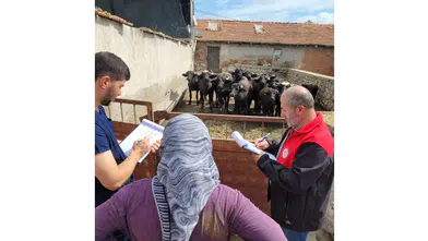 Amasya’da Hayvancılıkta Saha Çalışması!