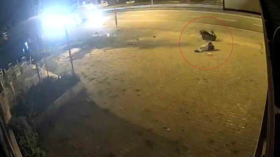 Motosiklet Levhaya Çarptı: 17 Yaşındaki Sürücü Yaralandı