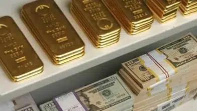 Altın ve Dövizde Yeni Hafta Hareketli Başladı! İşte 5 Ekim Fiyatları
