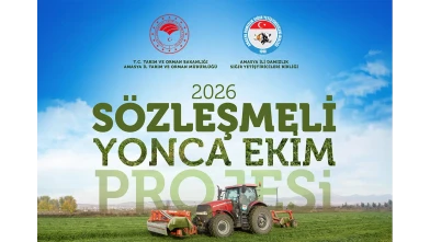 Amasya’da Yonca Ekim Projesi Başladı