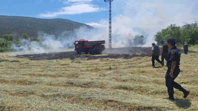 Anız Yangını Ormana Sıçramadan Söndürüldü! Ekipler Felaketi Önledi