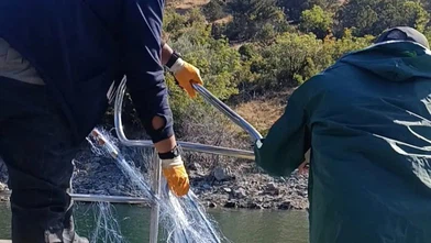 Kaçak Avcılığa Darbe! 600 Metrelik Ağ Ele Geçirildi