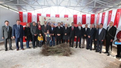 12 BİN 500 ADET KUŞBURNU FİDANI DAĞITILDI