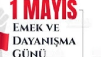 DEMOKRASİ PLATFORMU 1 MAYIS'TA MEYDANDA OLACAK