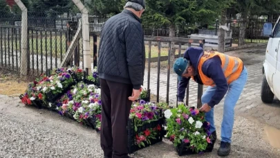 GÜMÜŞHACIKÖY BELEDİYESİ ÜCRETSİZ ÇİÇEK DAĞITTI
