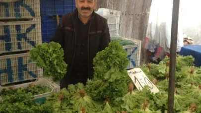 SEBZE FİYATLARI DÜŞTÜ