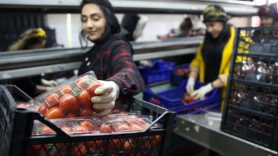Sebze ve meyvelerin miktar kayıpları Hal Kayıt Sistemi'nden beyan edilebilecek