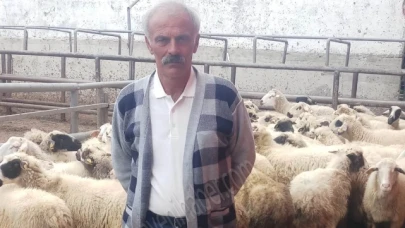 Suluova'da Duyarlı Besici Hastalanan Hayvanlarını İlçe Tarım Müdürlüğüne Teslim Etti