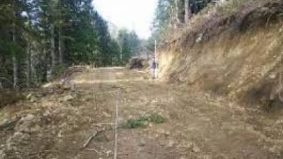 B TİPİ ORMAN YOLU YAPIMI