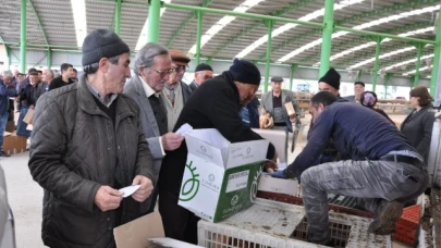GÜMÜŞHACIKÖY ZİRAAT ODASI ÇİFTÇİLERE TAVUK, ÖRDEK VE CİVCİV DAĞITTI