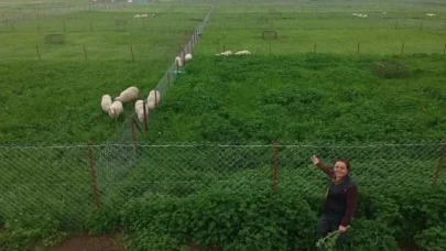 OMÜ'DEN "YAPAY MERA PROJESİ"