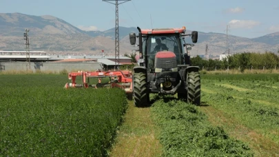 SÖZLEŞMELİ YONCA HASATLARI BAŞLADI