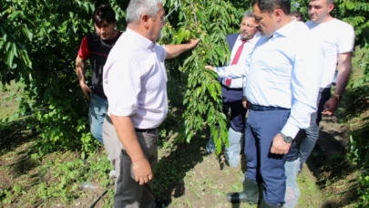 VALİ, DOLU YAĞIŞINDAN ETKİLENEN TARIM ALANLARINI İNCELEDİ