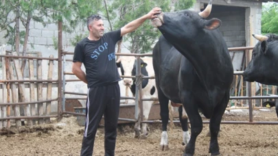 150 BİN TL’YE ALICISINI BEKLİYOR