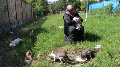 40 Kediye Evlatları Gibi Bakıyor