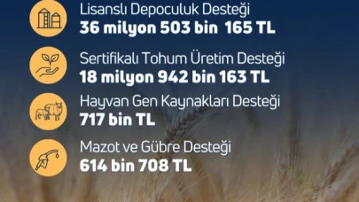 DESTEK ÖDEMELERİ BUGÜN BAŞLIYOR