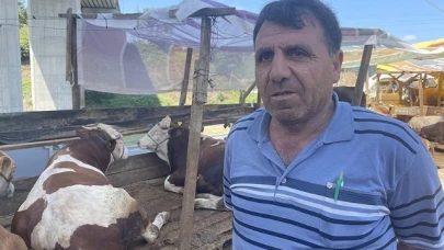 İstanbul'da kurban pazarlarında üreticiler satışlardan memnun