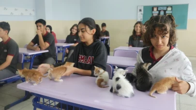 KEDİ "SÜTLAÇ" VE YAVRULARI LİSENİN YENİ ÜYELERİ OLDU