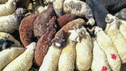 Sokakta kurban kesene para cezası uygulanacak