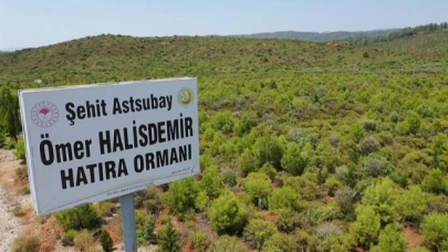 15 TEMMUZ ŞEHİTLERİNİN ANISINI YEŞİL VATAN'DA YAŞATILIYOR