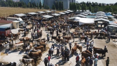 Amasya'da hayvan pazarları kapatıldı