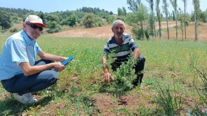 Çiftçilere dağıtılan tohumların gelişimi denetlendi