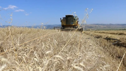 DEMONSTRASYON ÇALIŞMASININ HASADI ALINDI