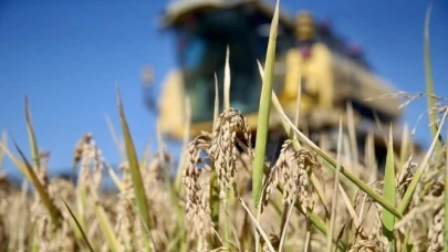 Deprem bölgesindeki "Uzman Eller" için genç girişimcilere 75 milyon liralık ek bütçe