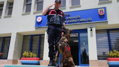 İz takipte jandarmanın en büyük yardımcısı hassas burun "Tank"
